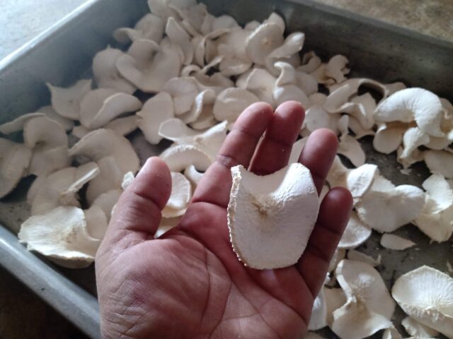 Rojadas de yuca deshidratada 300gr