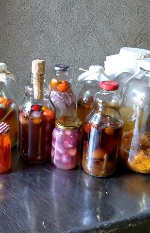 Vinagres, chichas y fermentados tradicionales